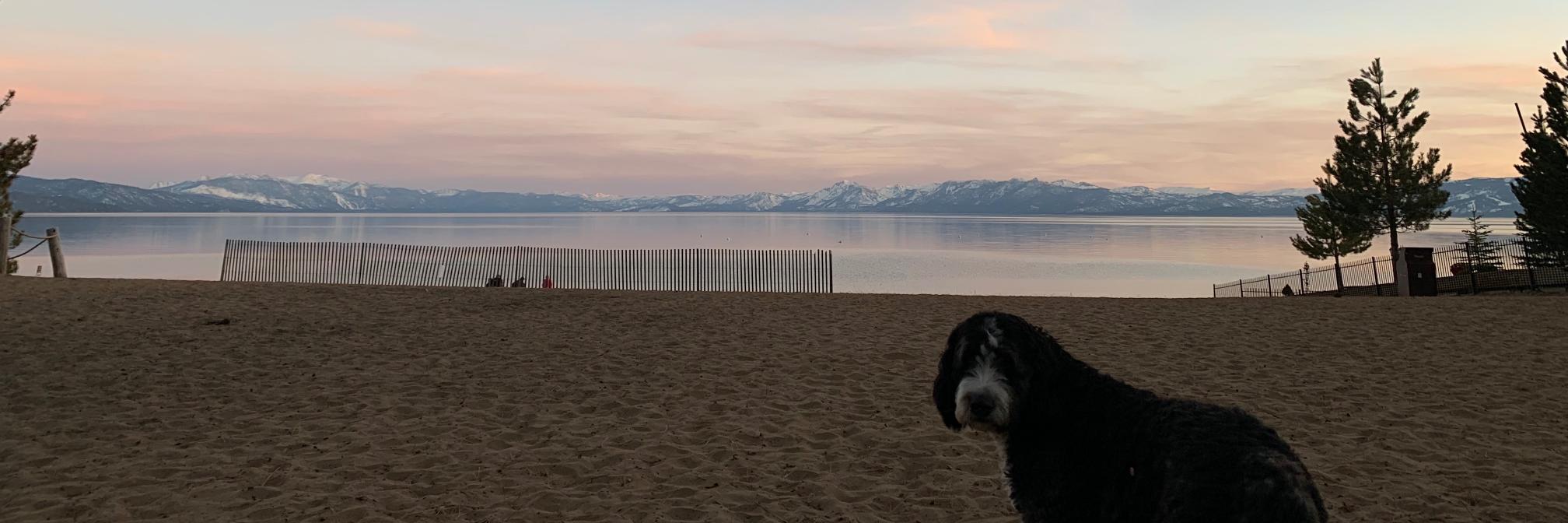 patfives's profile banner image