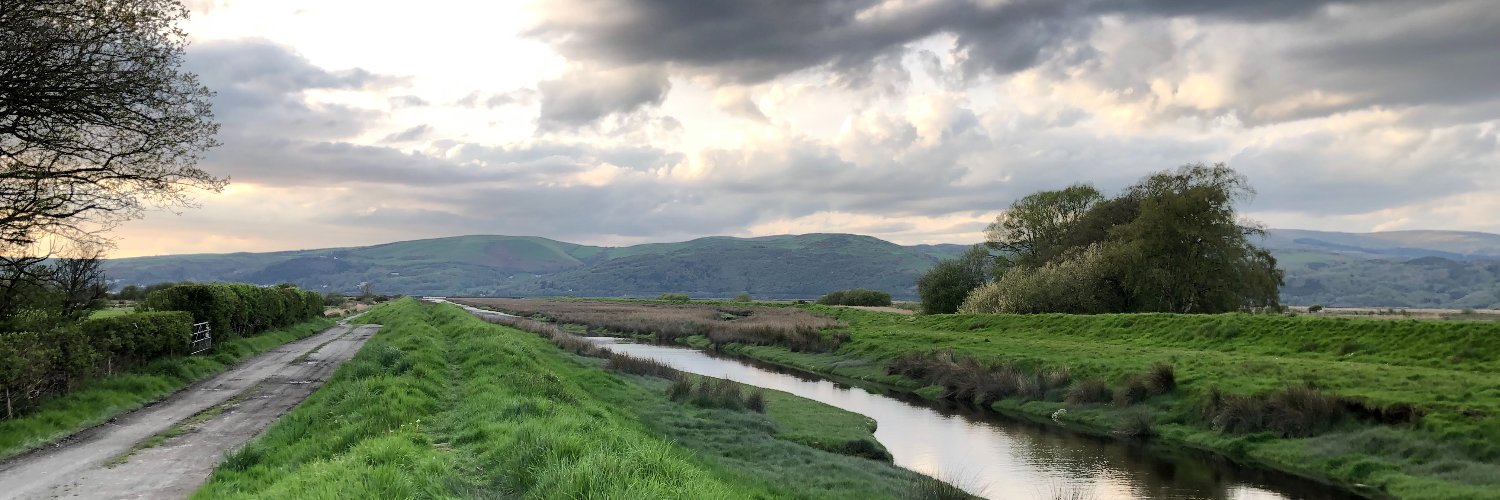 Lynette Brooks Homer banner