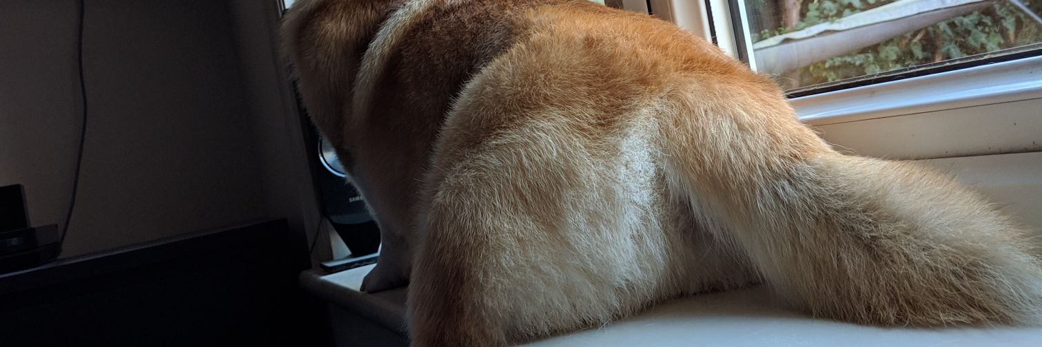 CharlieBridge97's profile banner image