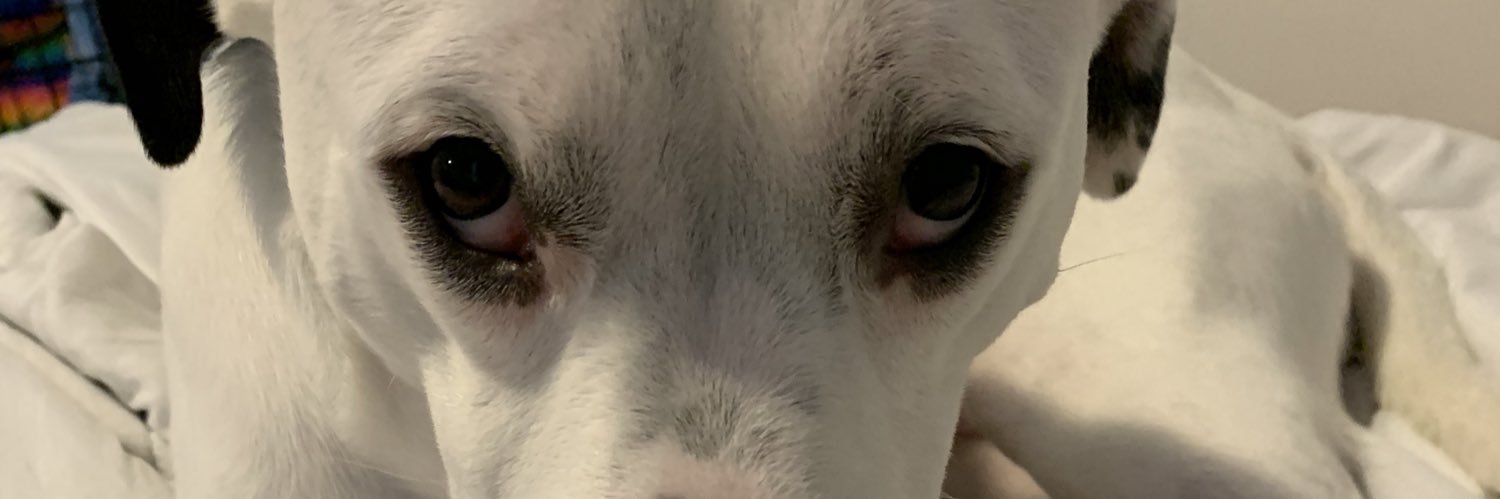 mack_wilder's profile banner image