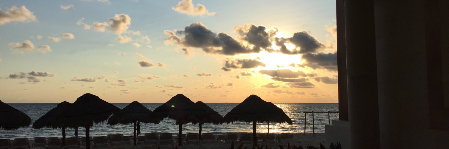 Mark Crossfield banner