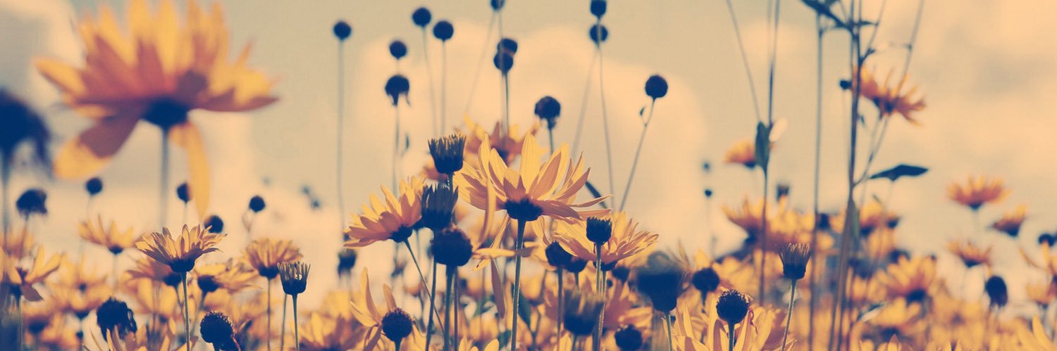 Kayla_Hereee's profile banner image