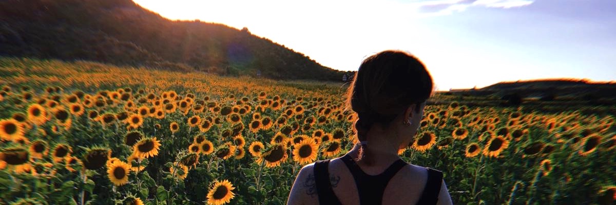 Eviitha12's profile banner image