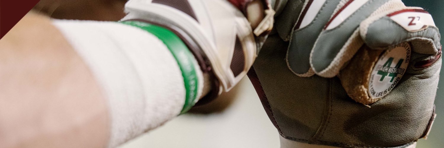 Lilfost05's profile banner image