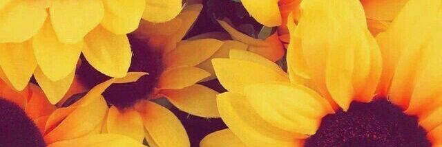 GLam_zOZ's profile banner image