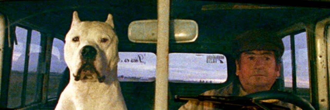 Gus banner