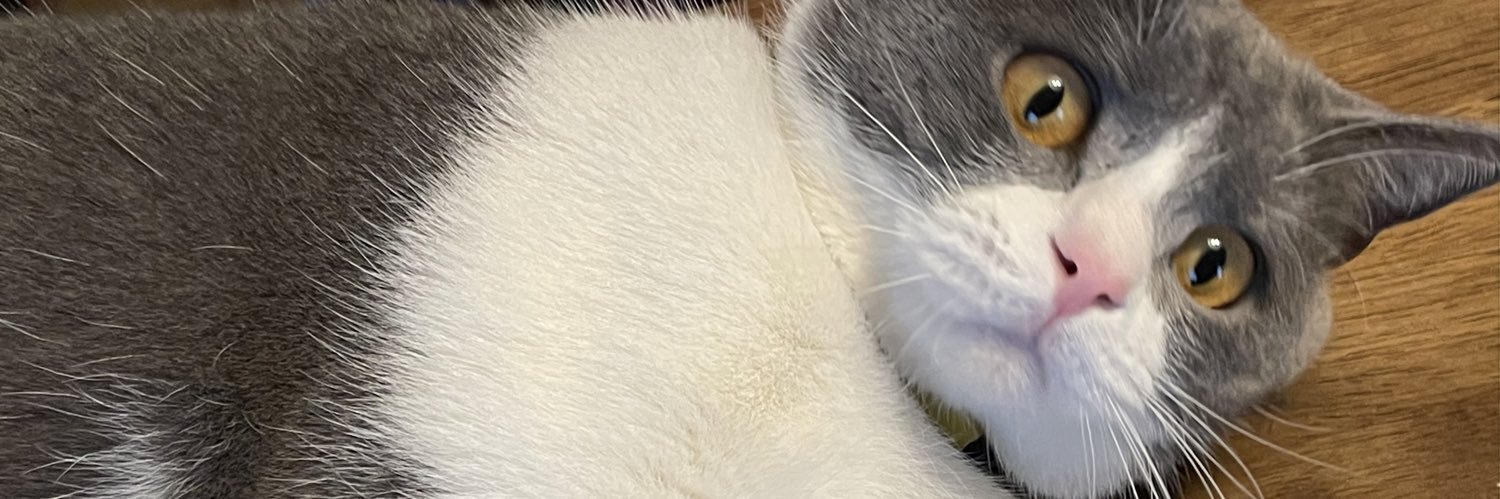 DDTOREE's profile banner image