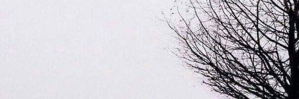 AshileyLescano's profile banner image