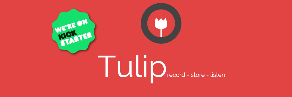 TulipRecord's profile banner image