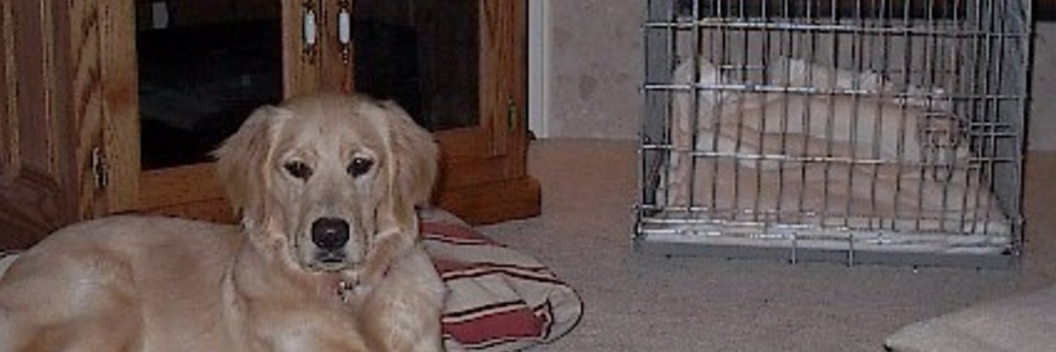 Drey527's profile banner image