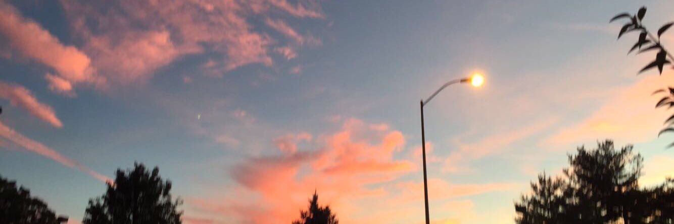 Sierra🔮🦋✨ banner