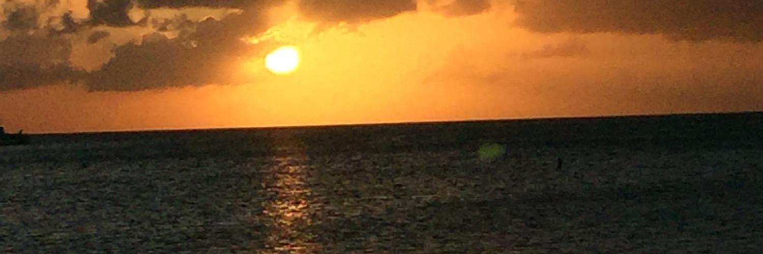 PMendes327's profile banner image