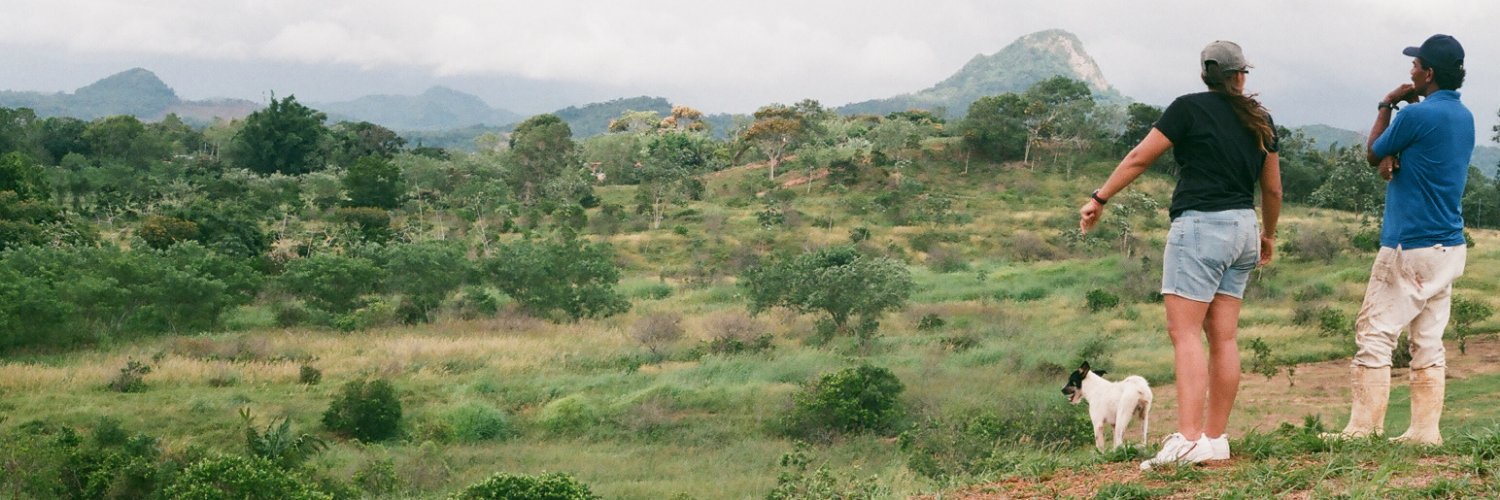 Malalonchys's profile banner image