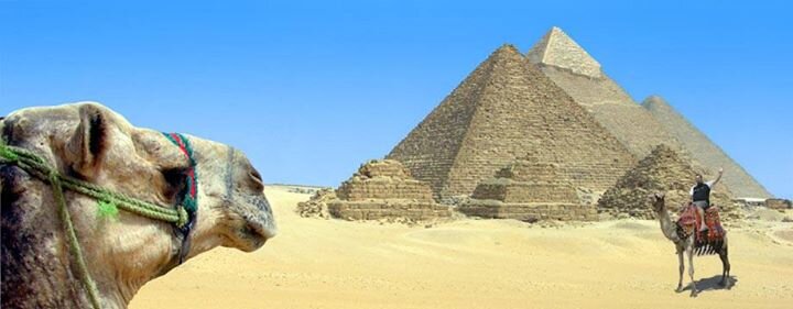 molobardi's profile banner image