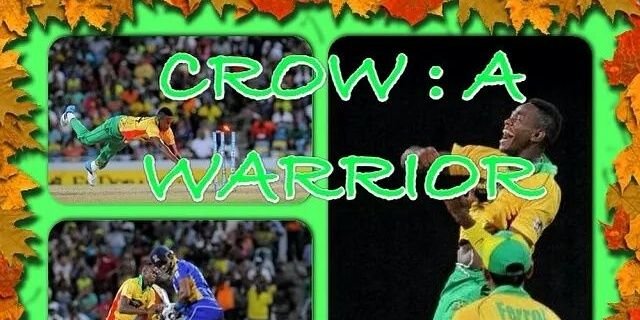 Ronsford's profile banner image