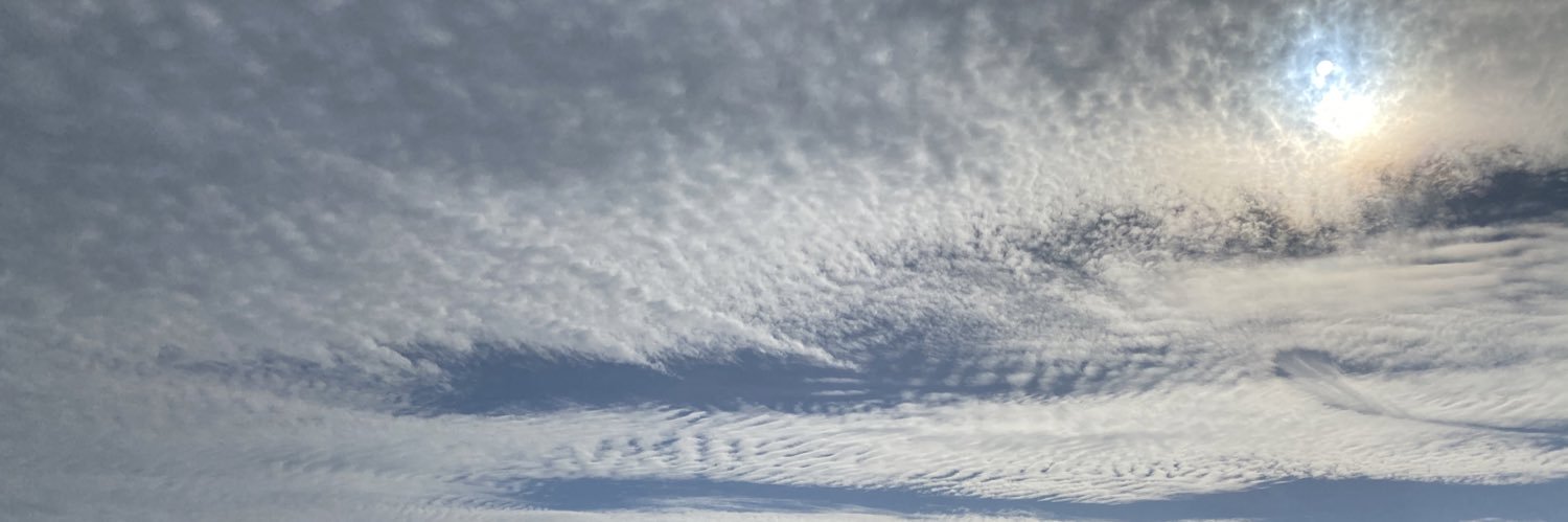 Anne Simendinger banner