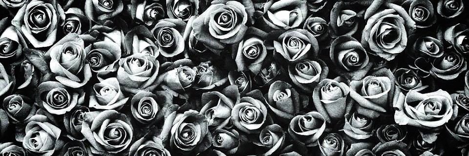 TyXXXK's profile banner image