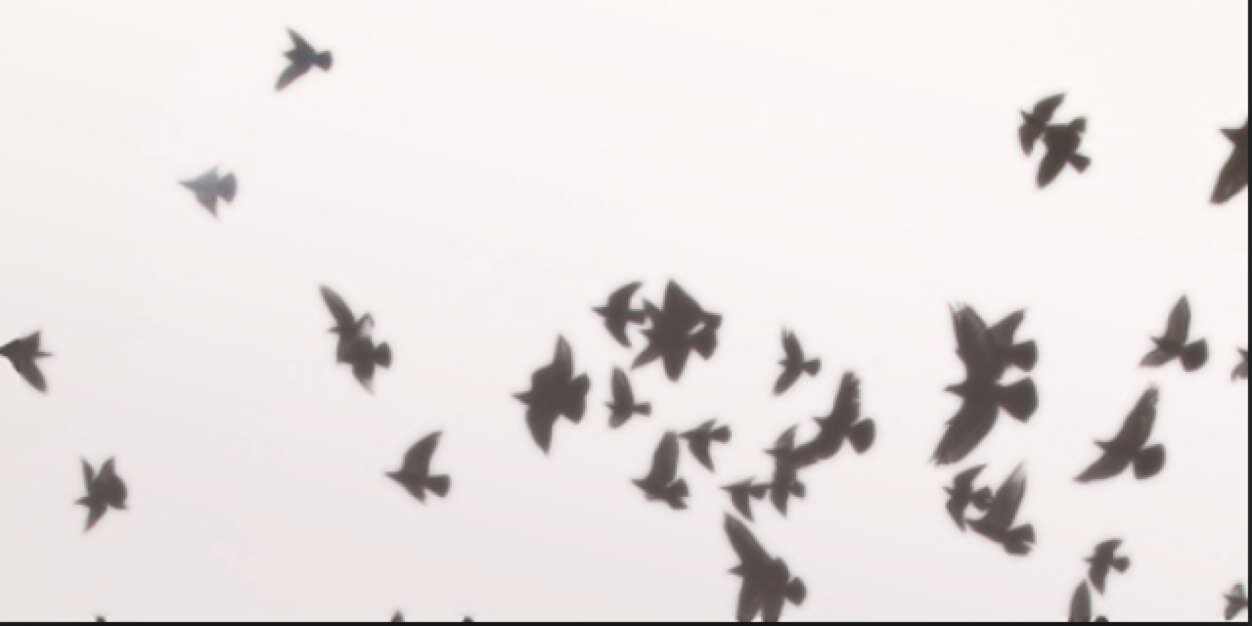ritaawit's profile banner image