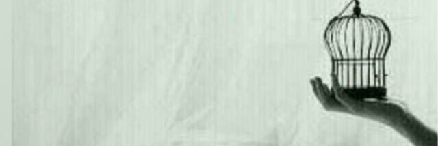 munoor01's profile banner image