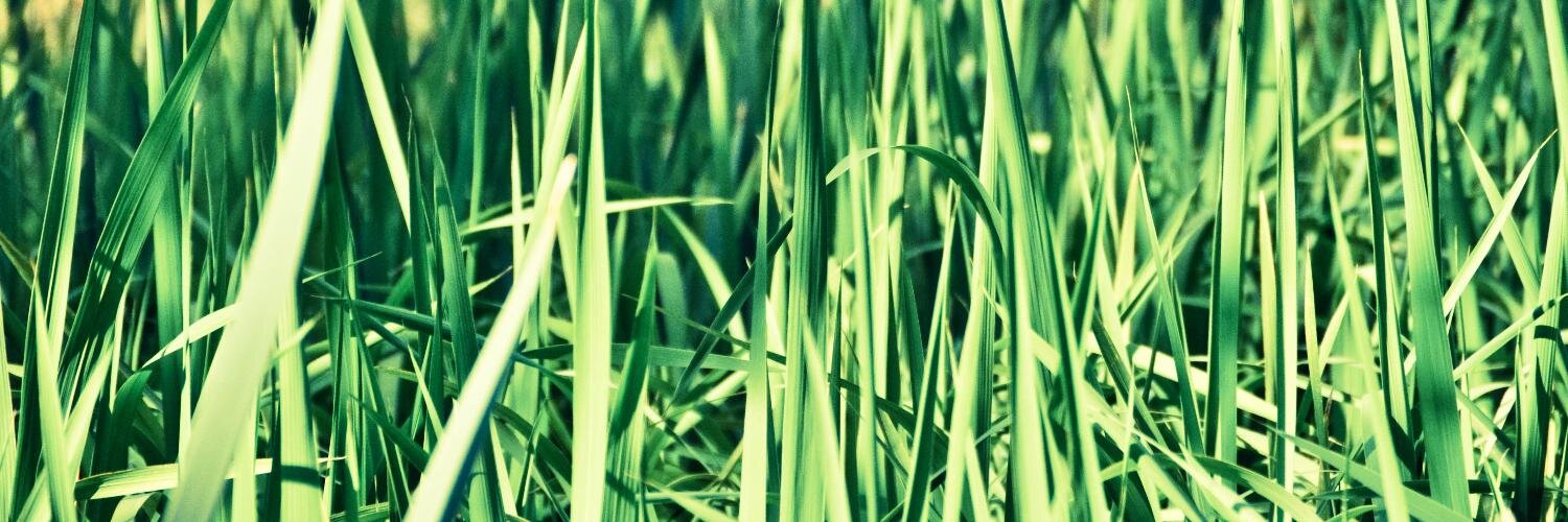 jbdayez's profile banner image