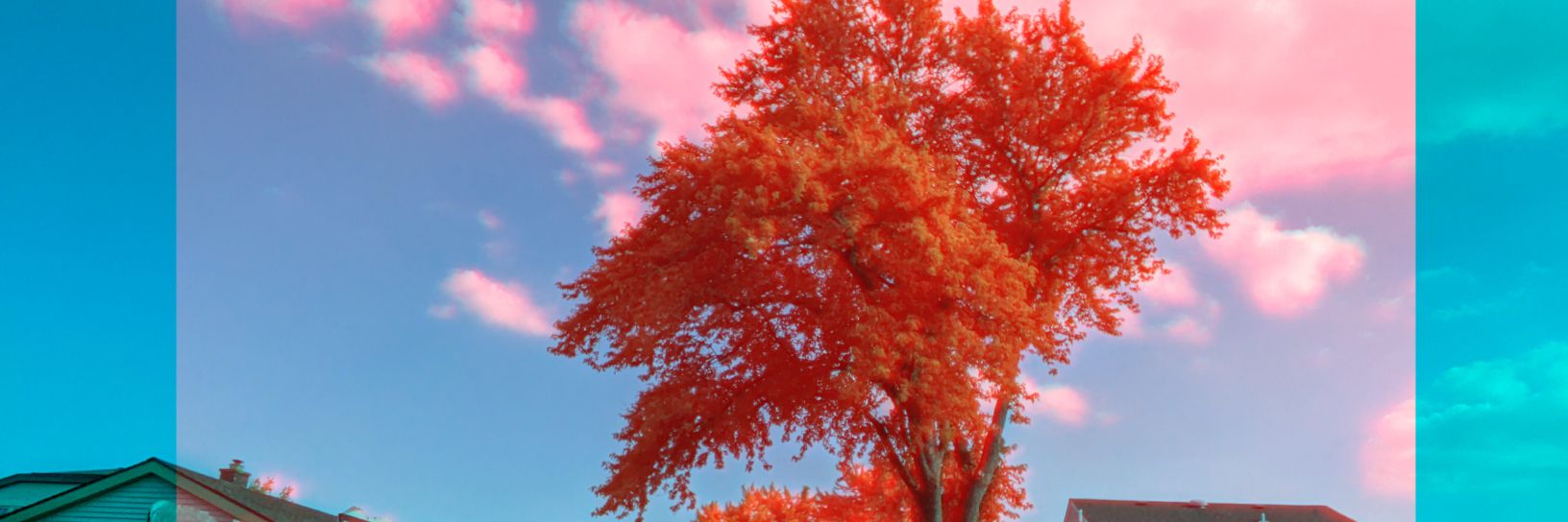 MatiKorman's profile banner image
