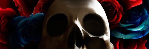 sibudine's profile banner image