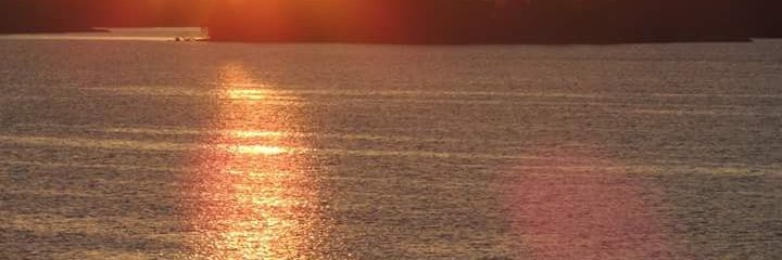 ant2901's profile banner image