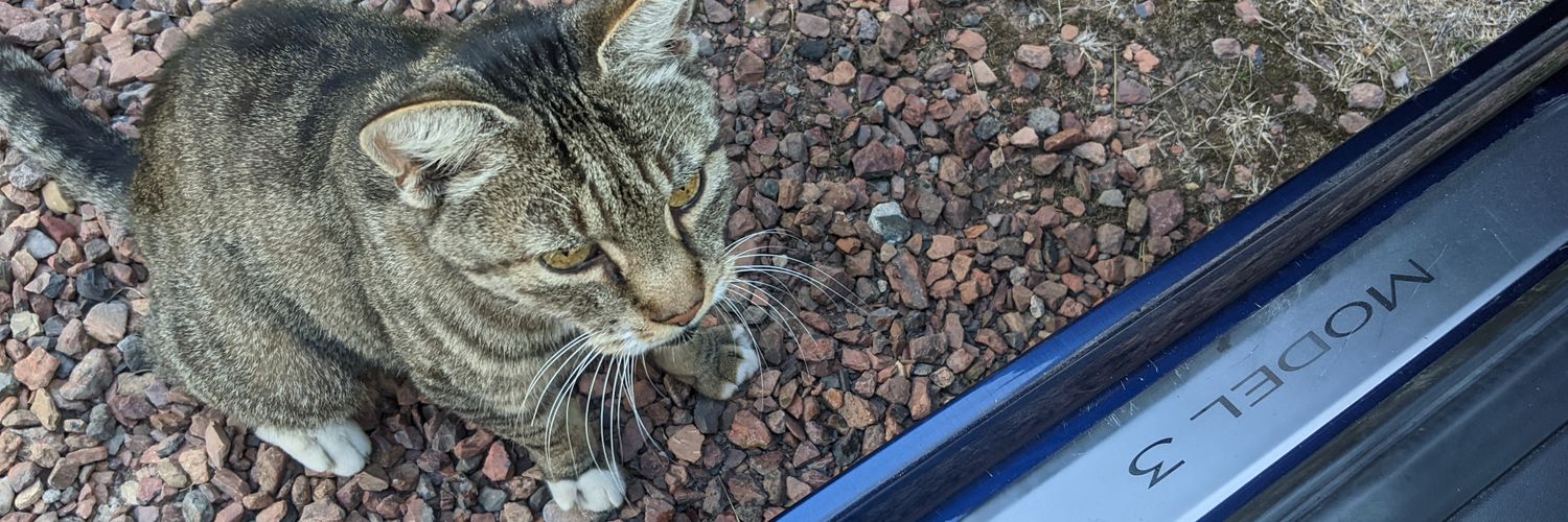 Hendrik Jan van Dijk banner