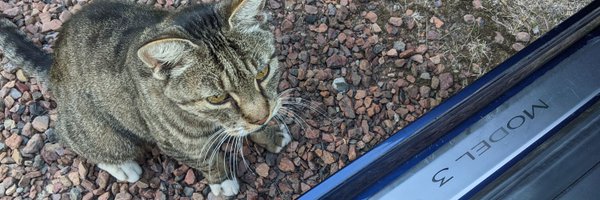 vanDijkHJ Profile Banner