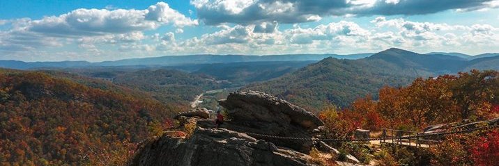 lisafore's profile banner image