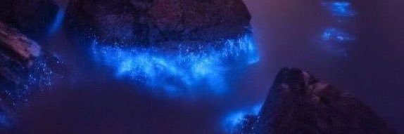 destinylynnpage's profile banner image