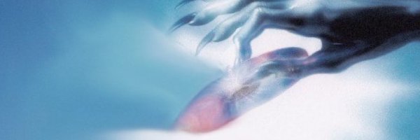 oliviaborch Profile Banner