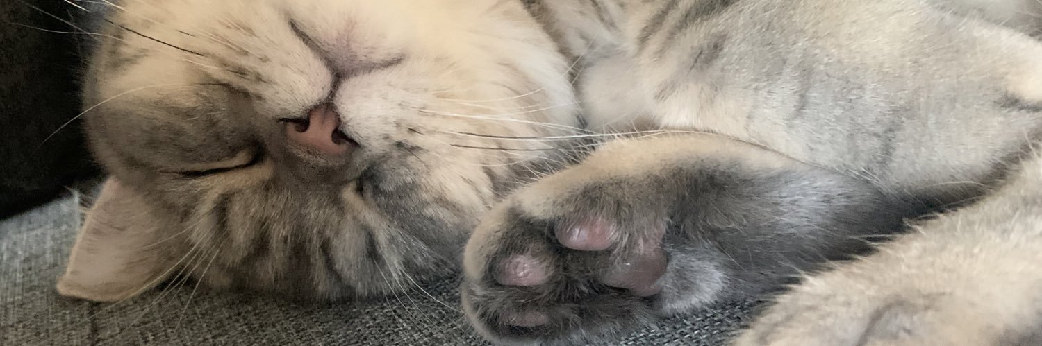 Nesibe Kırış Can banner