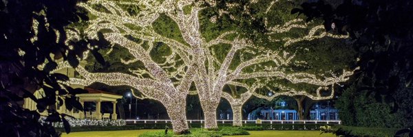 pottersquash Profile Banner