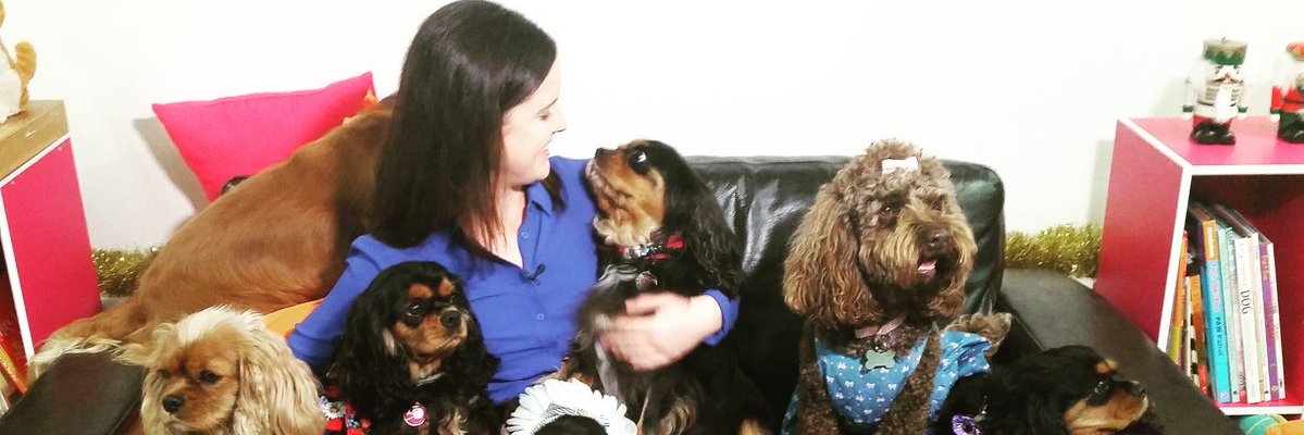 DogsNepean's profile banner image