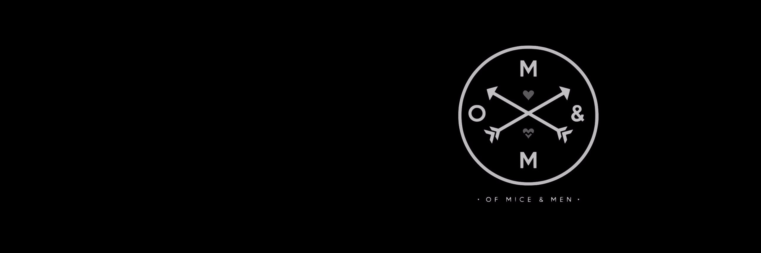 lirectioner's profile banner image