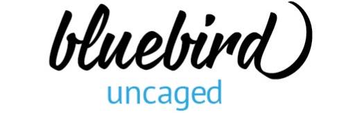 bluebirduncaged's profile banner image
