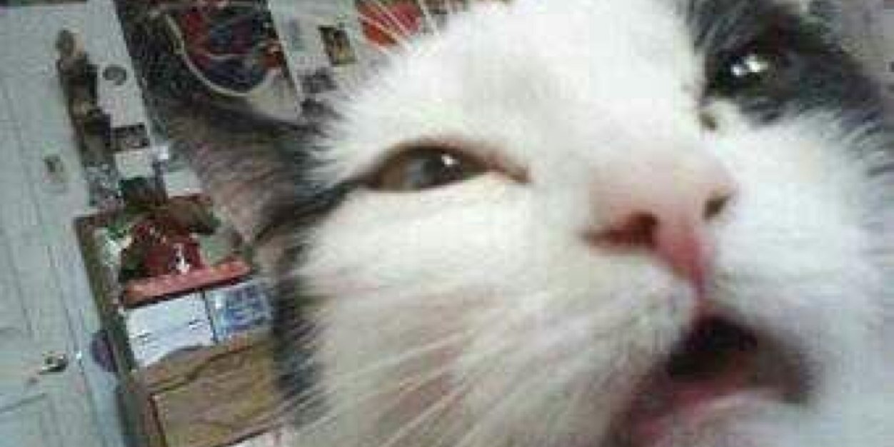 ConMys's profile banner image