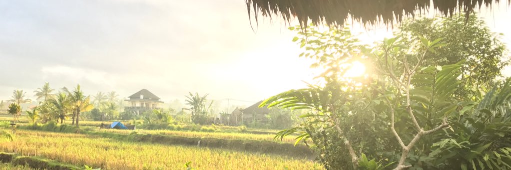 kimmiller85's profile banner image