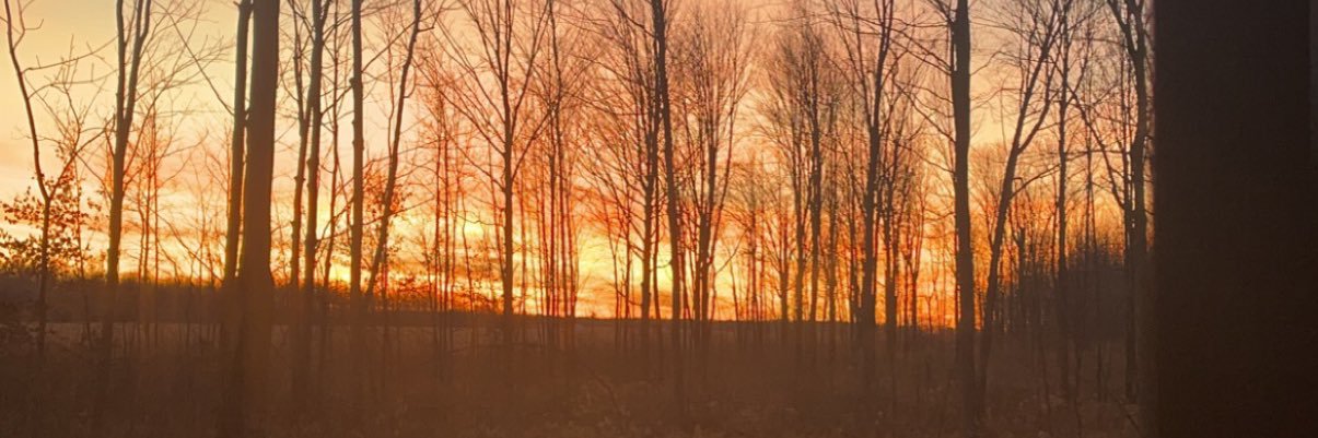 JakeHoernke's profile banner image