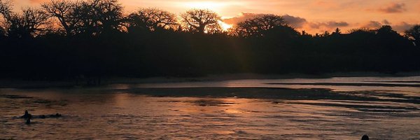 flammo7's profile banner image