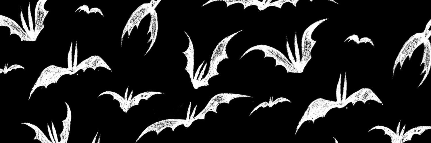 _quig13's profile banner image