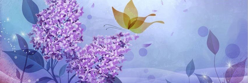 doaa_doaam's profile banner image