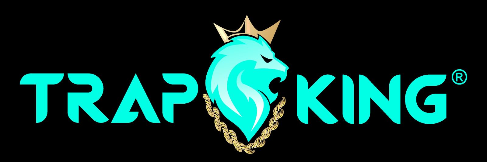 BritishCapone's profile banner image