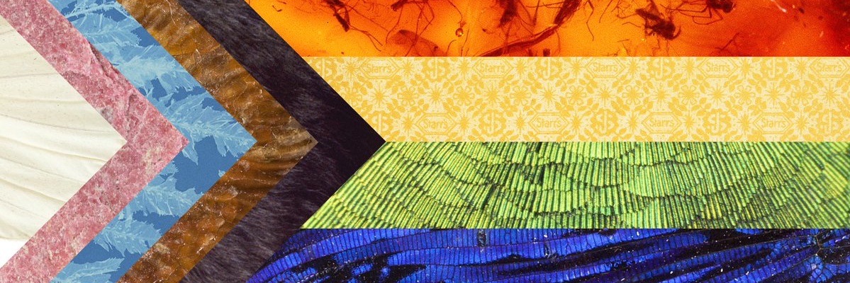 MorganLindback's profile banner image