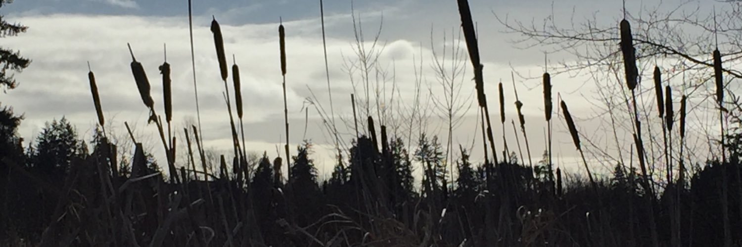 mindycro's profile banner image