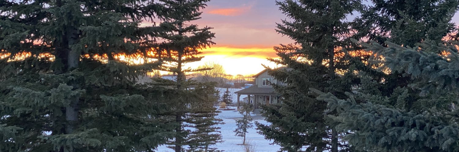AngieRK9's profile banner image