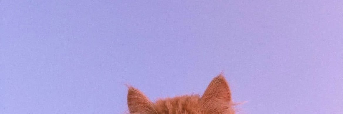 Mariyah555's profile banner image