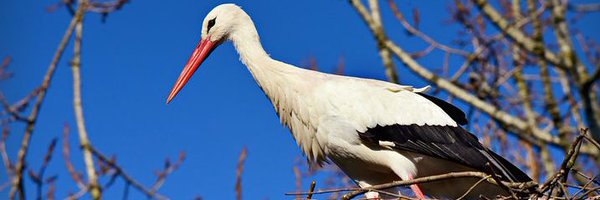 jvlettermann Profile Banner