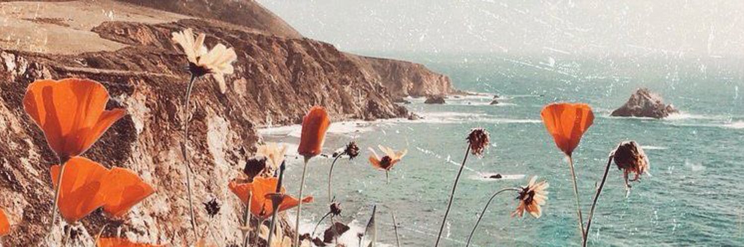 cornbayless's profile banner image